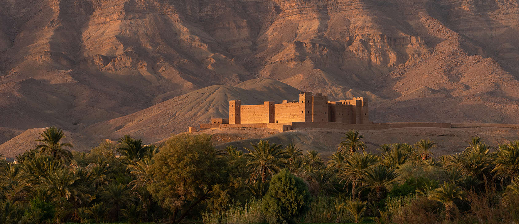 Kasbah Tamnougalt in the Draa Valley