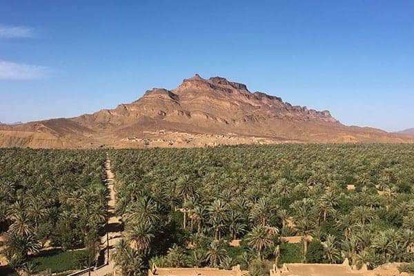 Jbel Kissane and dates palms in the Draa Valley