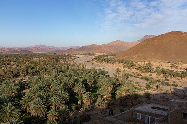 Date palm grove near Tata